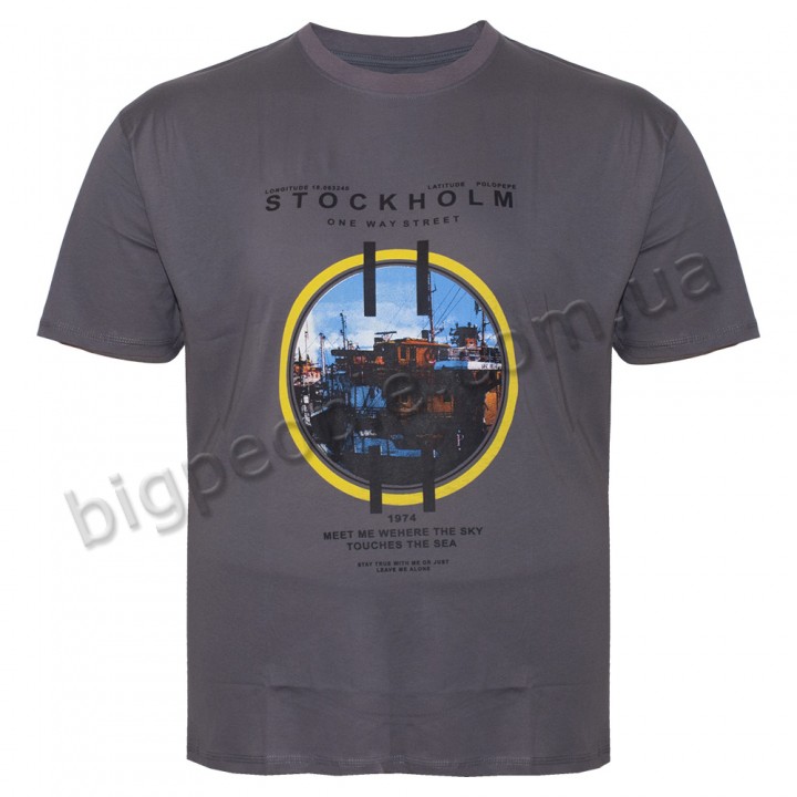 Футболка чоловіча POLO PEPE великого розміру. Колір сірий. Воріт напівкруглий. (fu01229003)