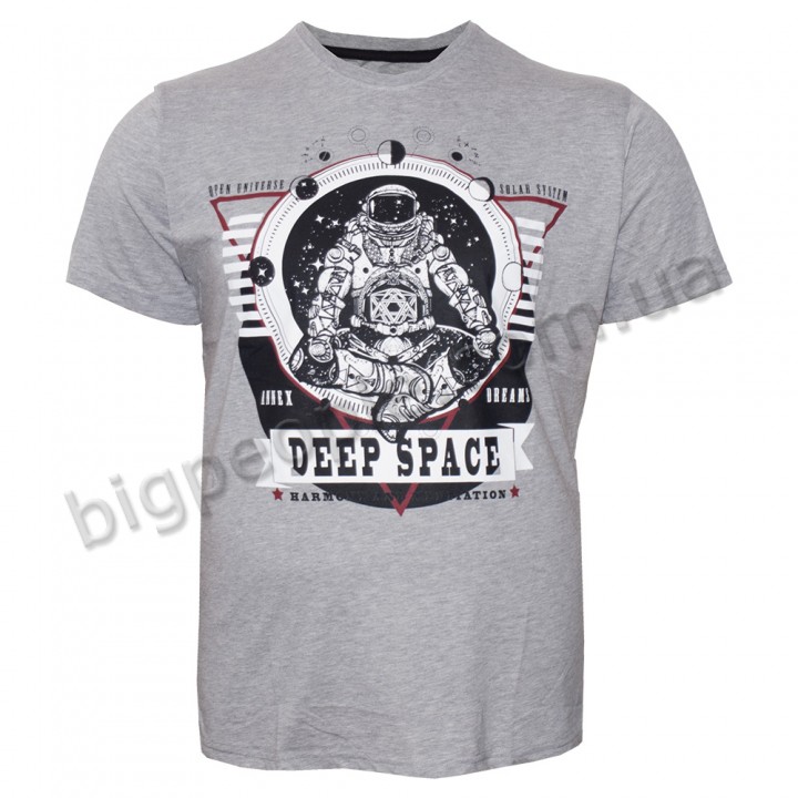 Футболка чоловіча ANNEX великого розміру. Колір сірий. Воріт напівкруглий. (fu01176413)