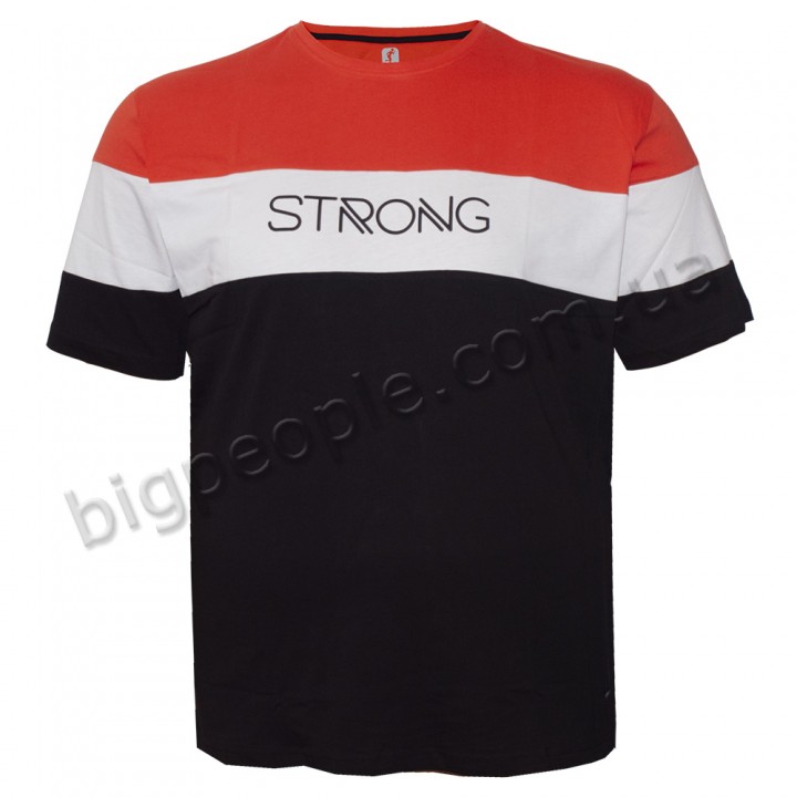 Футболка чоловіча ANNEX великого розміру. Колір комбінований. Воріт напівкруглий. (fu01213768)