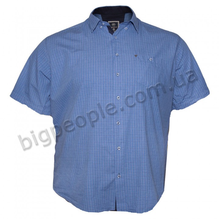 Чоловіча сорочка BIRINDELLI великого розміру. Колір синій. (ru00511339)