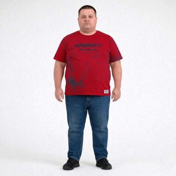 Футболка мужская ANNEX большого размера. Цвет бордовый. Ворот полукруглый. (fu01949439)