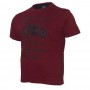 Чоловіча бордова футболка великого розміру ANNEX (fu00779696)