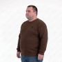 Мужской тёплый свитшот ANNEX цвет коричневый (ba01131636)
