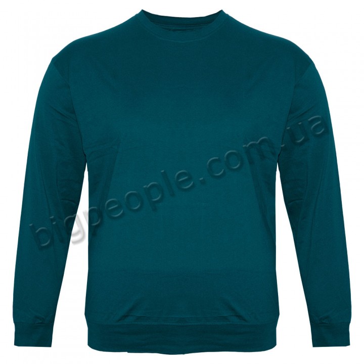 Бірюзова футболка (толстовка тонка) OLSER (fu01932548)