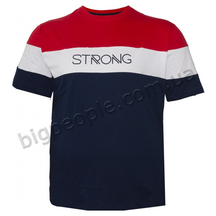 Футболка чоловіча ANNEX великого розміру. Колір комбінований. Воріт напівкруглий. (fu01215098)