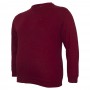 Бордовая футболка (тонкая толстовка) BORCAN CLUB (fu00852429)