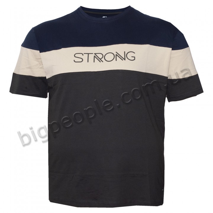 Футболка чоловіча ANNEX великого розміру. Колір комбінований. Воріт напівкруглий. (fu01214176)