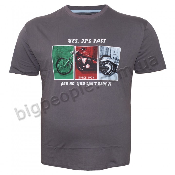 Футболка чоловіча POLO PEPE великого розміру. Колір сірий. Воріт напівкруглий. (fu01300776)