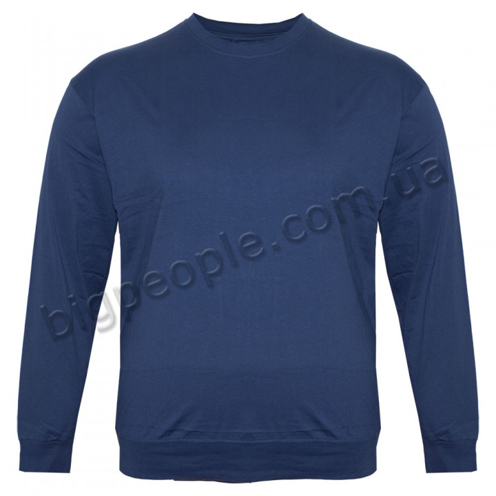 Синя футболка (толстовка тонка) OLSER (fu01933442)