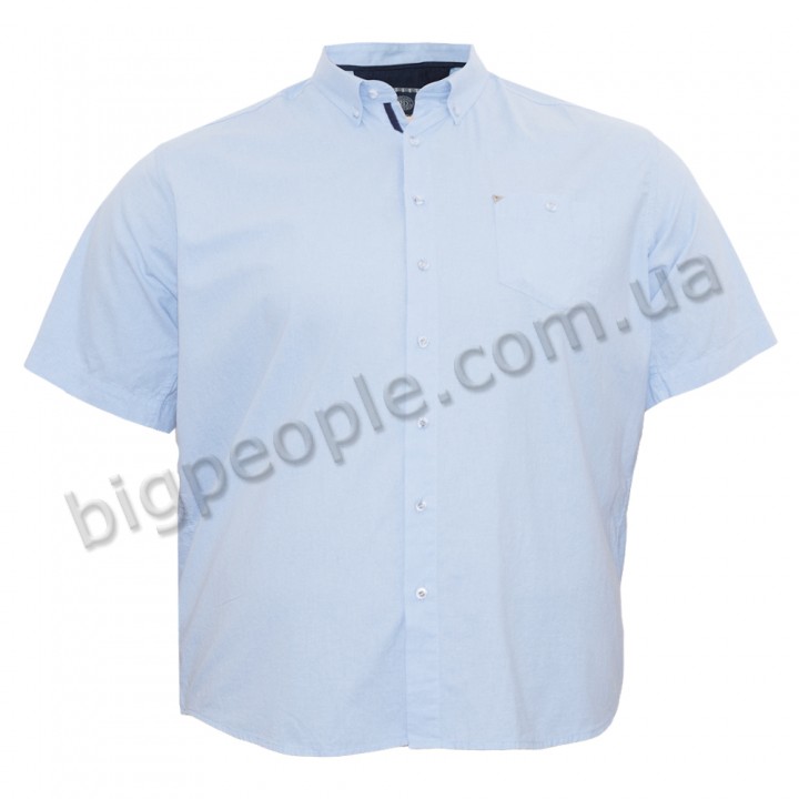 Блакитна бавовняна чоловіча сорочка великих розмірів BIRINDELLI (ru05170994)