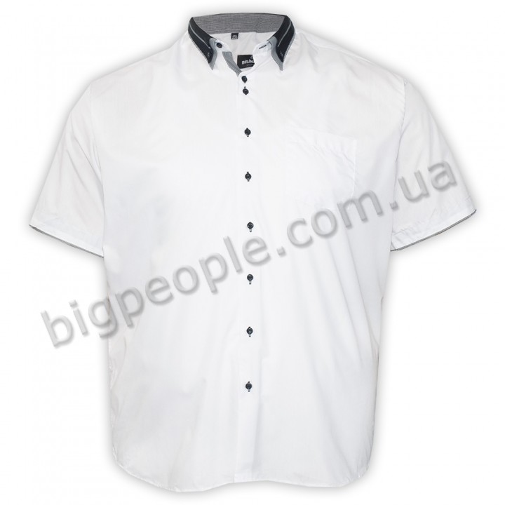 Біла чоловіча сорочка бавовняна великих розмірів BIRINDELLI (ru05126590)