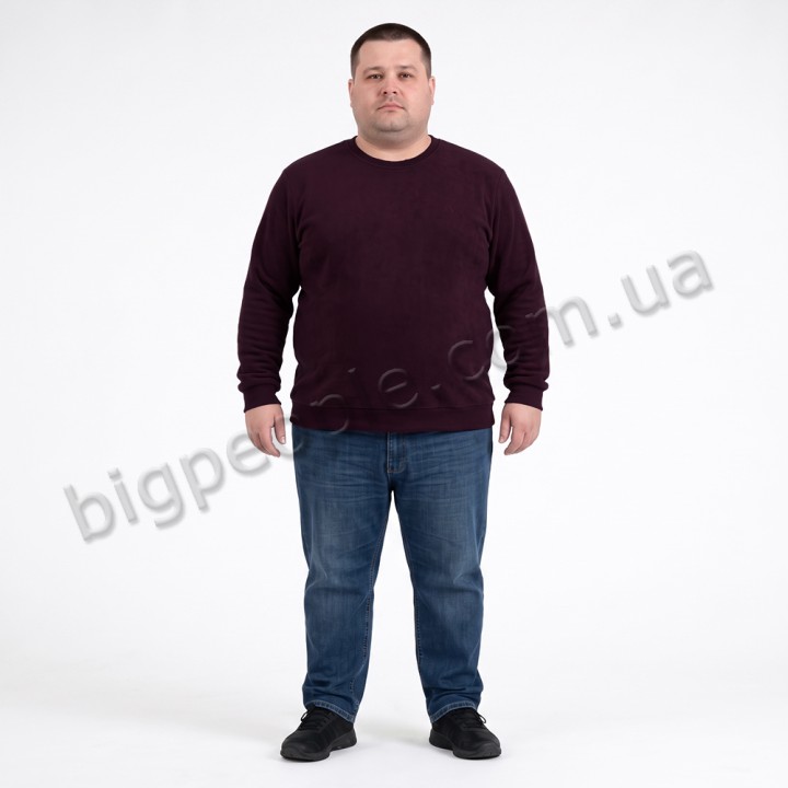 Мужской тёплый свитшот ANNEX цвет бордовый (ba01152008)