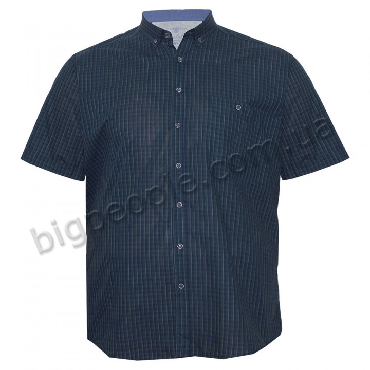 Мужская хлопковая рубашка больших размеров CASTELLI (ru05192086)