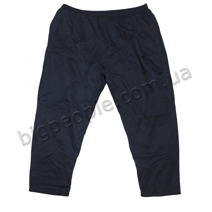 IFC - утеплені спортивні штани для чоловіків великого розміру (br00035287)