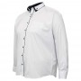 Біла в смужку чоловіча бавовняна сорочка великих розмірів BIRINDELLI (ru00551578)
