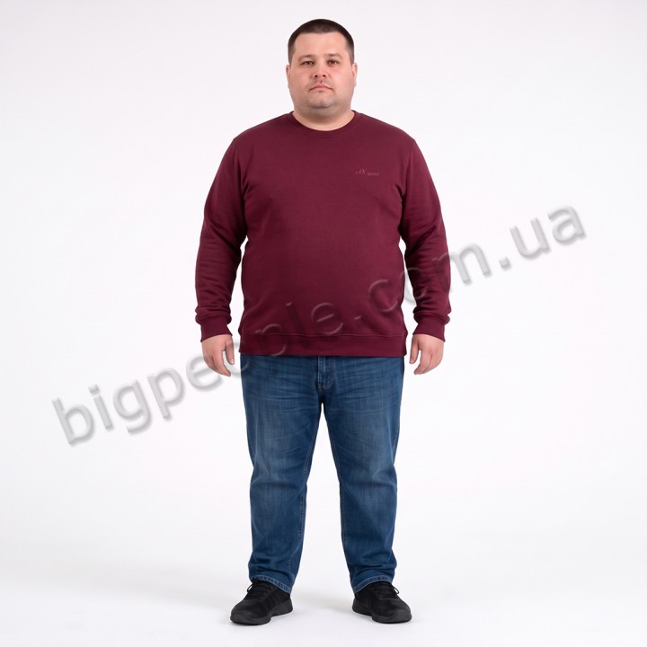 Свитшот тонкий бордового цвета ANNEX (ba01144879)