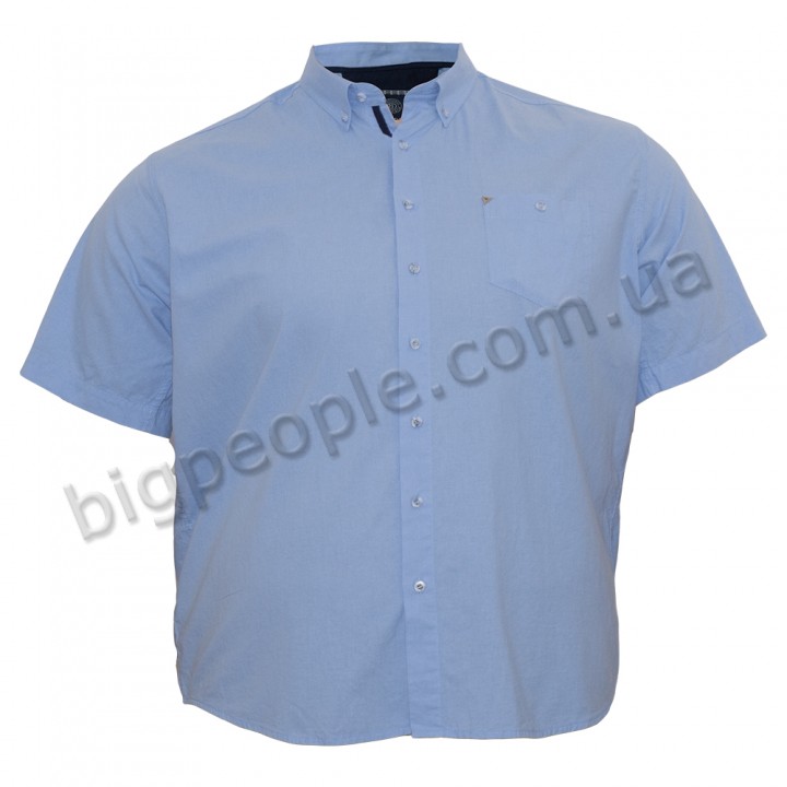 Голубая хлопковая мужская рубашка больших размеров BIRINDELLI (ru00491224)