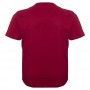Бордова чоловіча футболка великого розміру POLO PEPE (fu01124673)