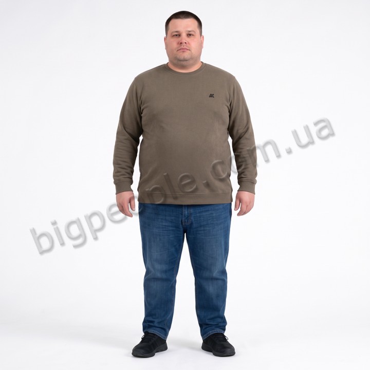 Мужской тёплый свитшот ANNEX бежевого цвета (ba01128904)