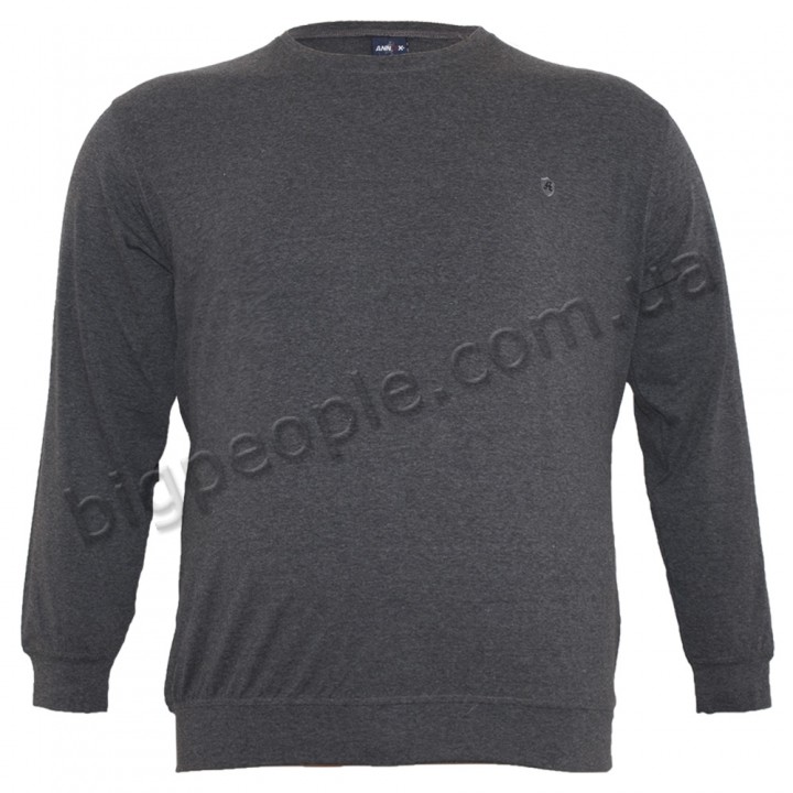 Серая мужская футболка с длинным рукавом ANNEX (fu01433557)