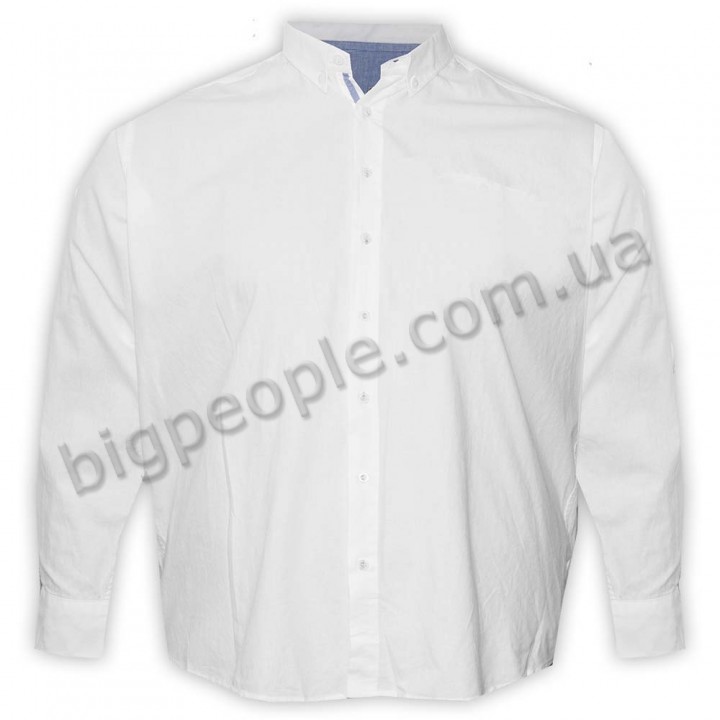 Белаяя классическая мужская рубашка больших размеров CASTELLI (ru00660226)