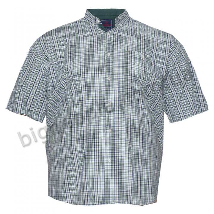 Сорочка чоловіча з зеленими смужками для великих чоловіків BIRINDELLI (ru00358564)