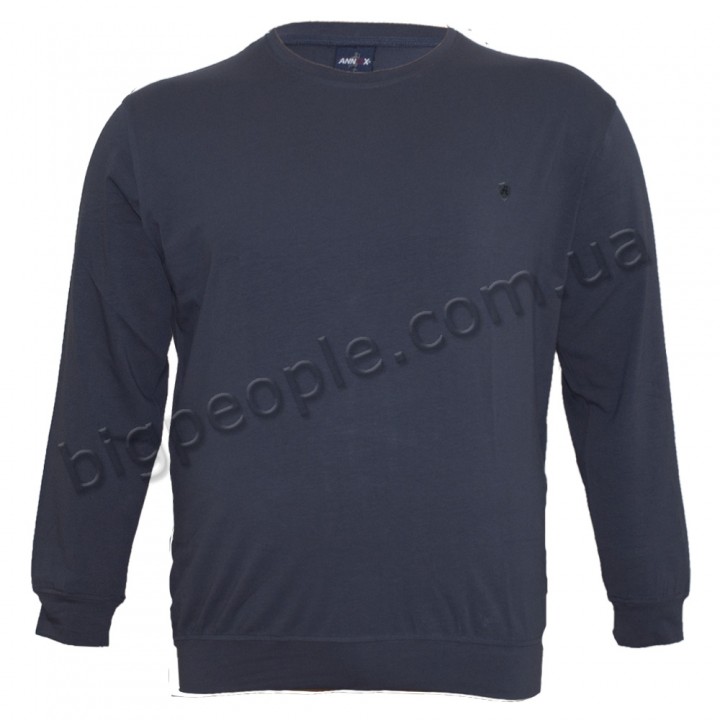 Сіра чоловіча футболка з довгим рукавом ANNEX (fu00840050)