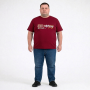 Футболка чоловіча POLO PEPE великого розміру. Колір бордо. Воріт напівкруглий. (fu02047856)