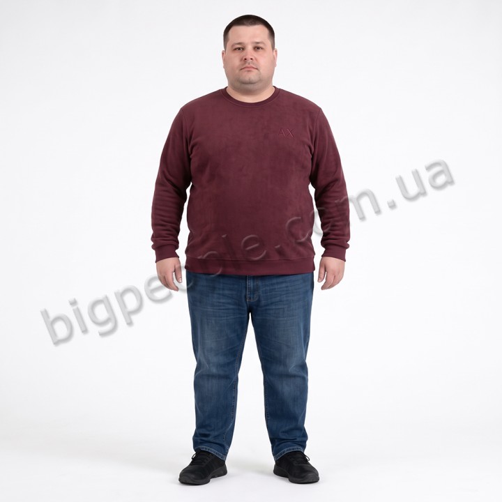 Мужской тёплый свитшот ANNEX цвет бордовый (ba01130621)