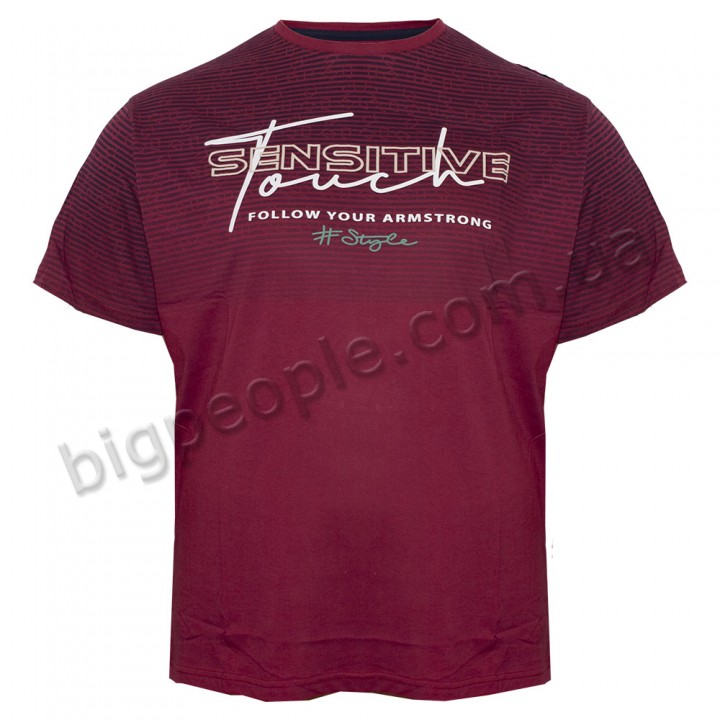 Футболка чоловіча ARMSTRONG великого розміру. Колір бордо. Воріт напівкруглий. (fu01363224)