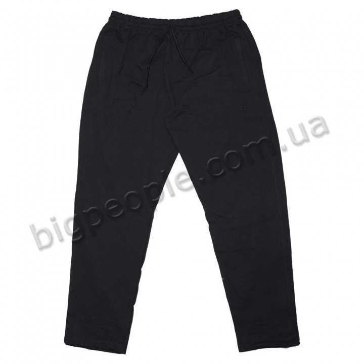 Черные спортивные брюки большого размера TURHAN (br00124546)