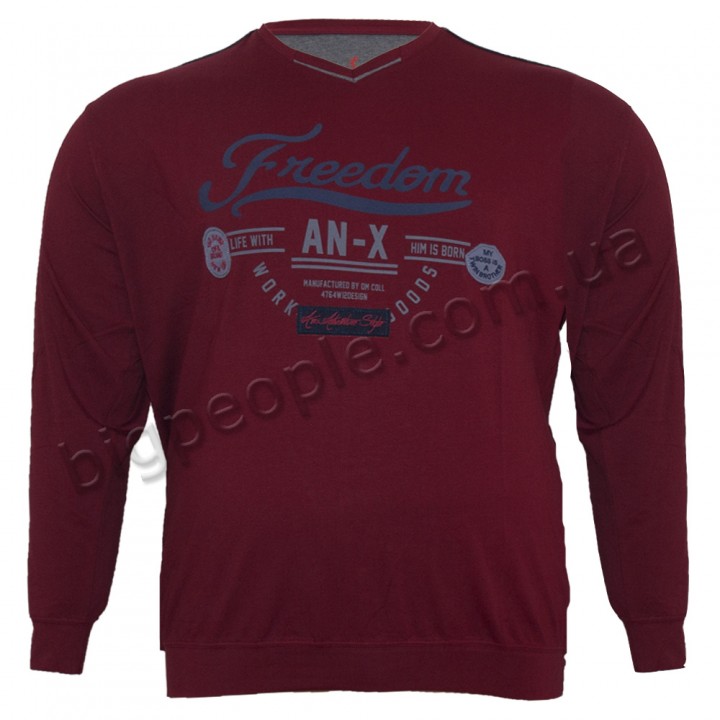 Бордова чоловіча футболка з довгим рукавом ANNEX (fu00832606)