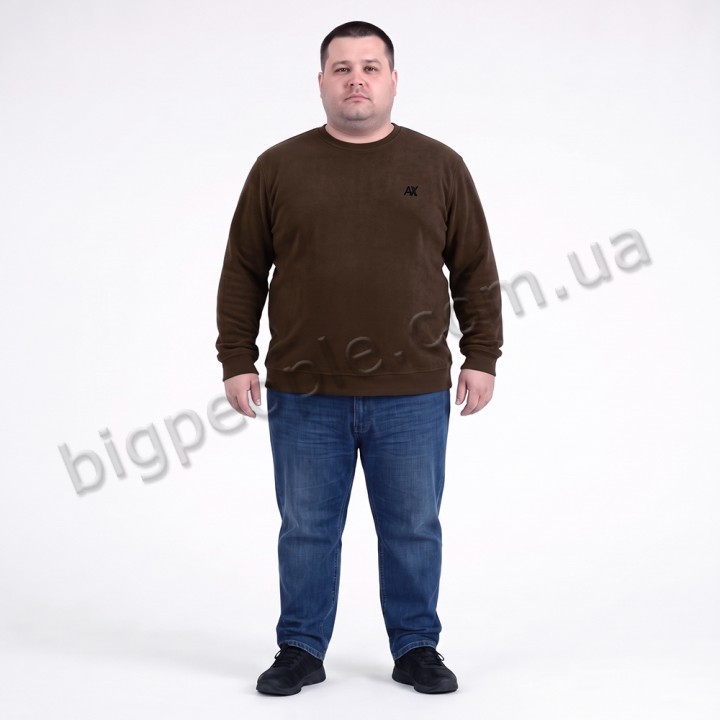 Мужской тёплый свитшот ANNEX цвет коричневый (ba01131636)