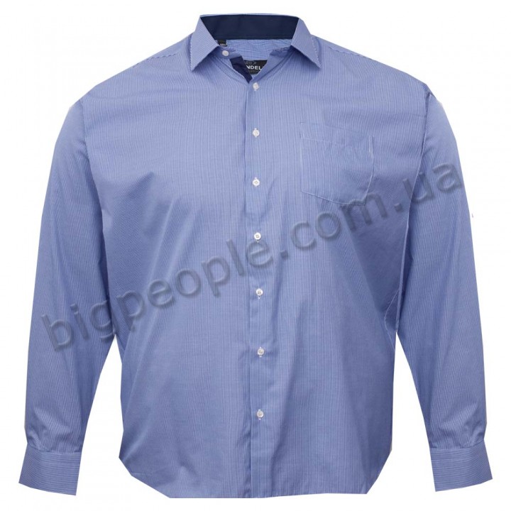 Синяя  хлопковая мужская рубашка больших размеров BIRINDELLI (ru00546224)