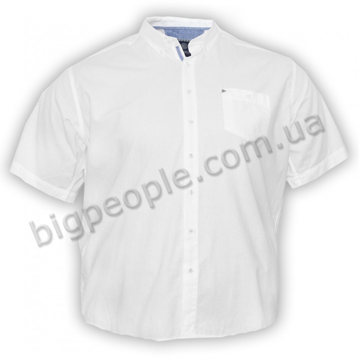 Белая хлопковая мужская рубашка больших размеров BIRINDELLI (ru00497665)