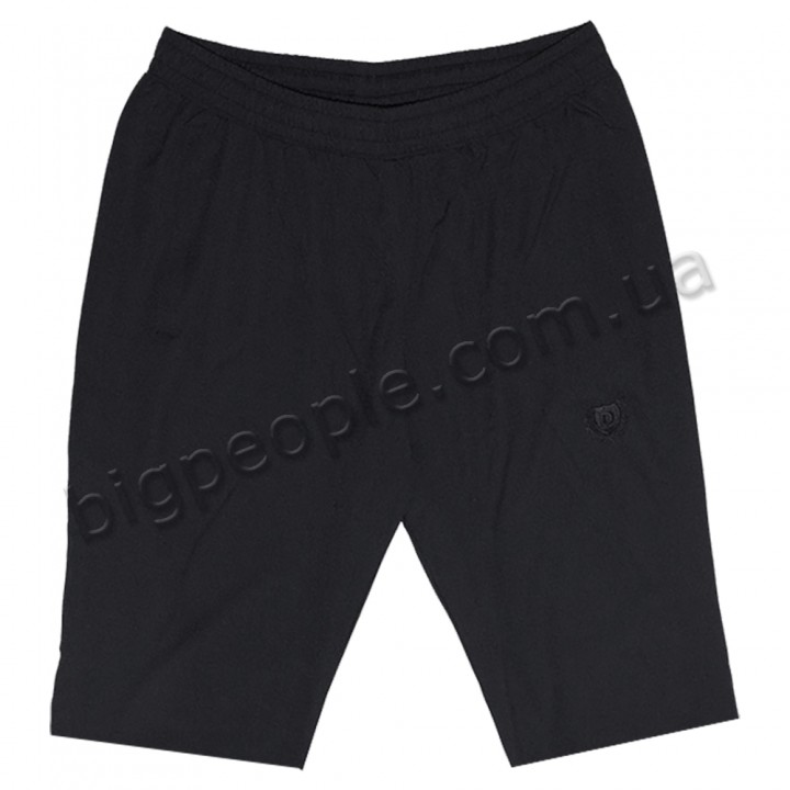 Летние тонкие спортивные шорты ДЕКОНС больших размеров. Цвет чёрный. (sh00338351)