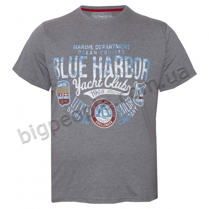 Футболка чоловіча ARMSTRONG великого розміру. Колір сірий. Воріт напівкруглий. (fu01208995)