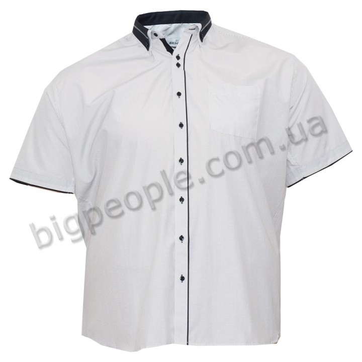 Светлая хлопковая мужская рубашка больших размеров BIRINDELLI (ru00496554)