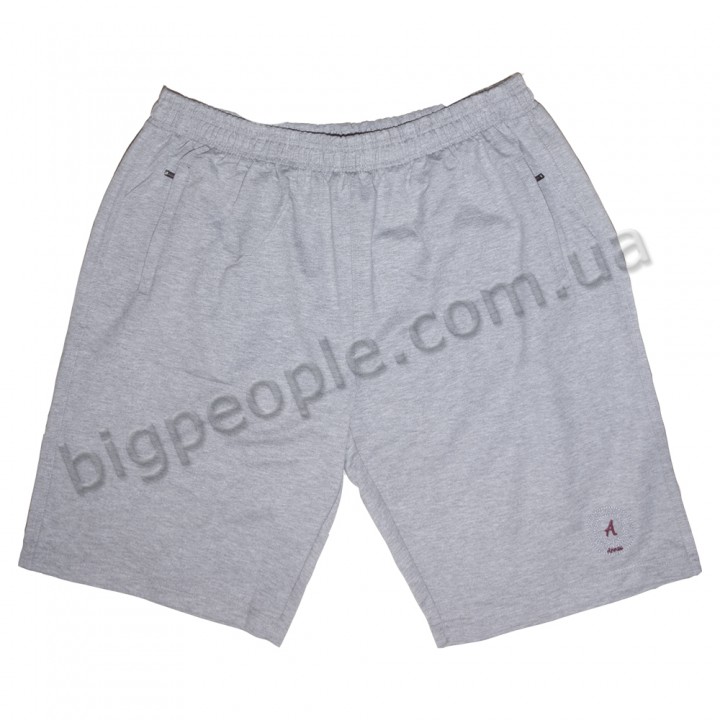 Трикотажні чоловічі шорти ANNEX великого розміру. Колір сірий. Пояс на резинці. (sh00325113)