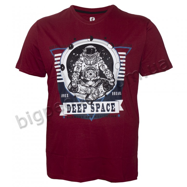 Футболка чоловіча ANNEX великого розміру. Колір бордо. Воріт напівкруглий. (fu01175674)