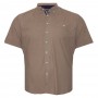 Бежевая хлопковая мужская рубашка больших размеров BIRINDELLI (ru05221665)