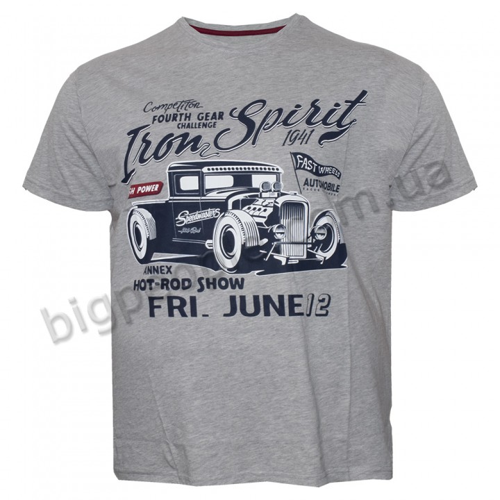 Футболка чоловіча ANNEX великого розміру. Колір сірий. Воріт напівкруглий. (fu01195660)