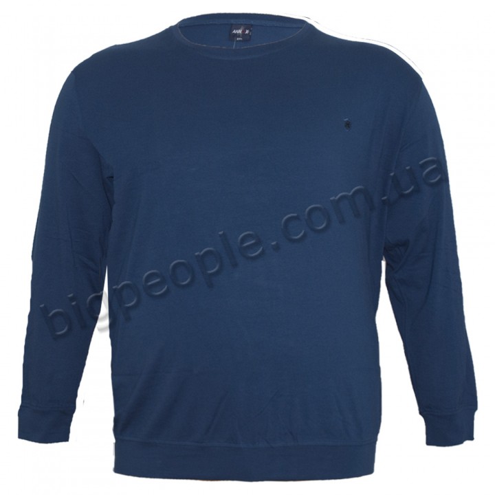 Синя чоловіча футболка з довгим рукавом ANNEX (fu00845052)