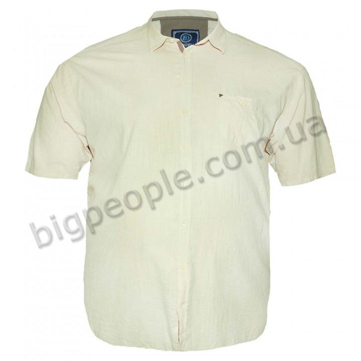 Светлая мужская рубашка больших размеров BIRINDELLI (ru00527154)