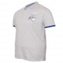Чоловіча футболка polo великого розміру DIO RISE. Колір сірий. (fu01312995)