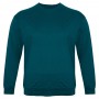 Бірюзова футболка (толстовка тонка) OLSER (fu01932548)