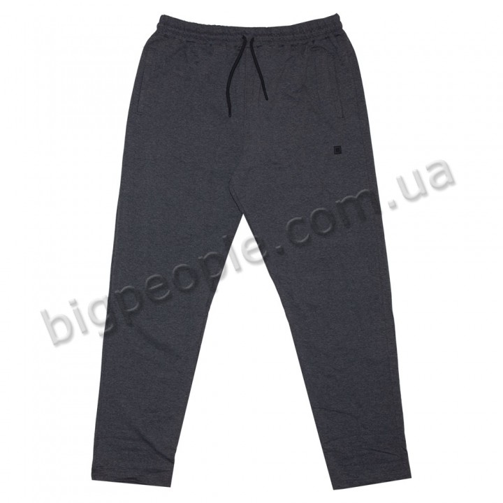 Серые спортивные брюки большого размера TURHAN (br00123723)