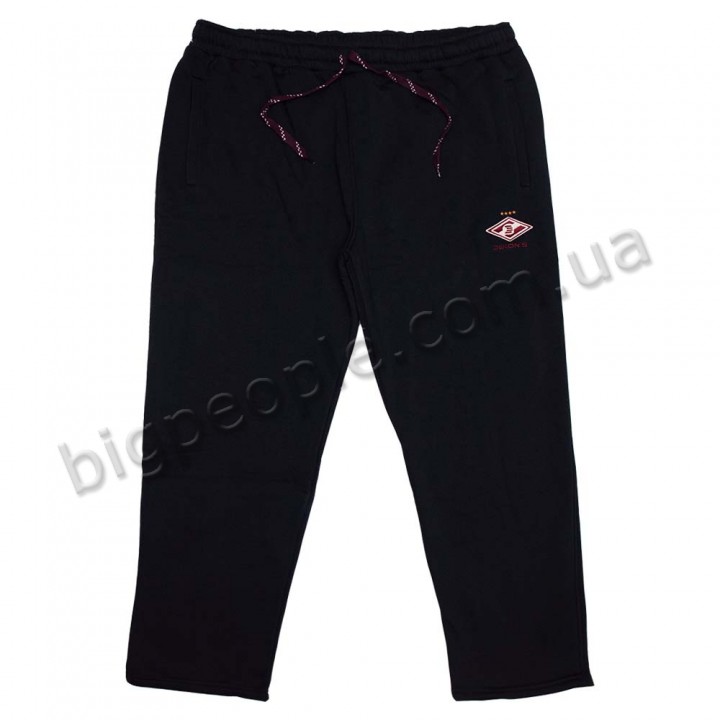 Чоловічі спортивні штани великого розміру DEKONS (теплі) (br00060723)