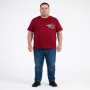 Футболка чоловіча POLO PEPE великого розміру. Колір бордо. Комір напівкруглий. (fu02041874)
