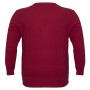 Червона чоловіча футболка з довгим рукавом ANNEX (fu00836112)